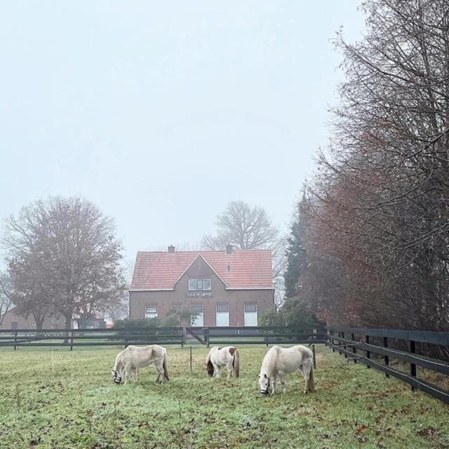 Hoeve De Snippert Groenlo Dış mekan fotoğraf